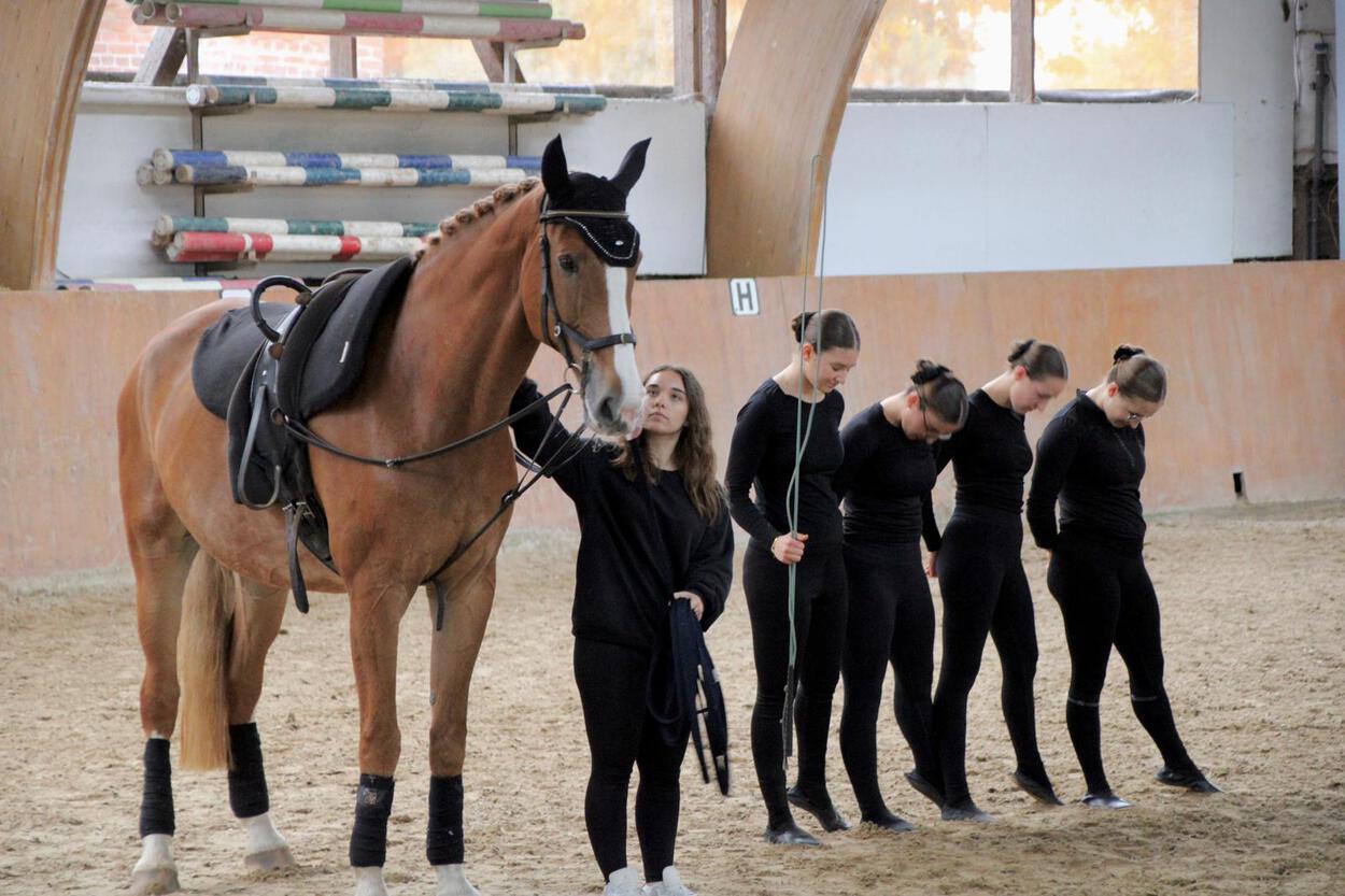 Herbstzauber 2025 – Impression 2