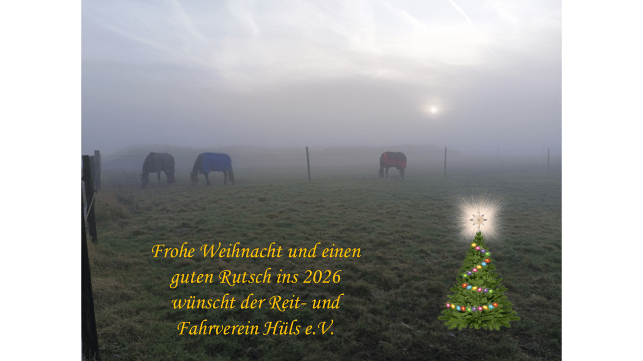 Frohe Weihnacht und einen guten Rutsch ins 2026