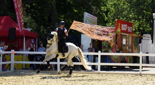 Unsere spanische Abteilung auf der Reitsportmesse Open Air Düsseldorf