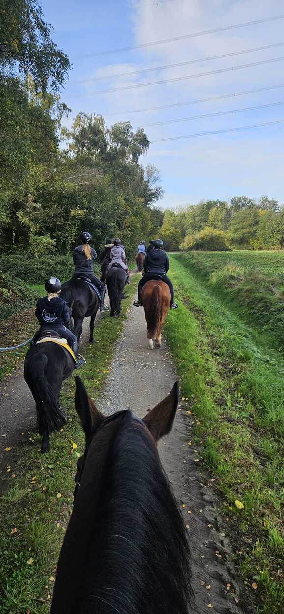 Herbstzauber 2025 – Impression 2